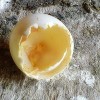 Lipsa vitaminei D creste riscul de diabet Lipsa vitaminei D creste riscul de diabet